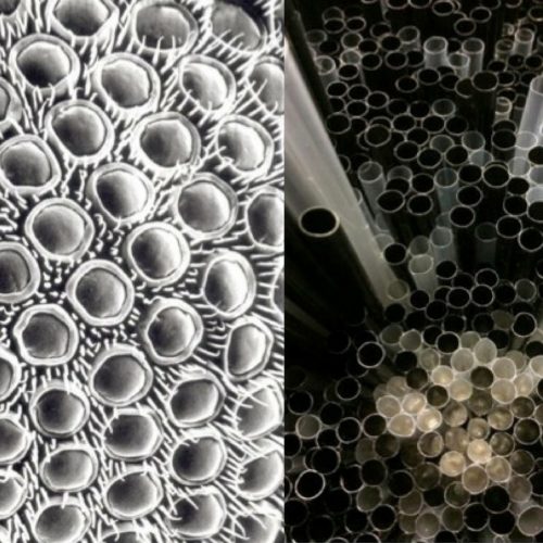 flies-eyes-black-straws-comparison-francesca-pasquali